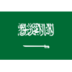 사우디아라비아 (U23) 엠블럼